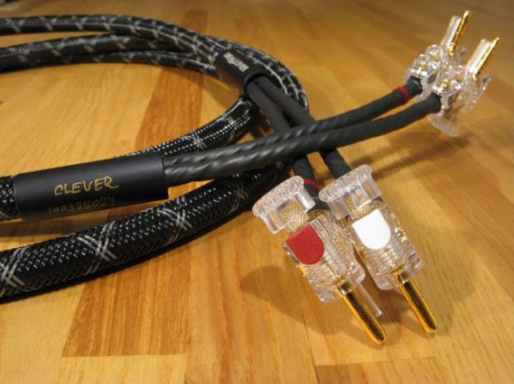 Clever (173 kB)