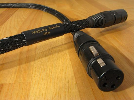 Passion Digital Pro (152 kB)